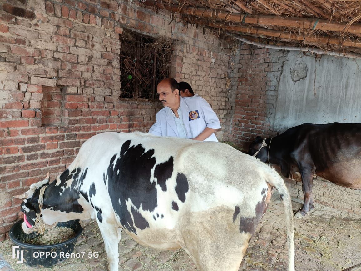 img-20250605-wa0019141666189697945329