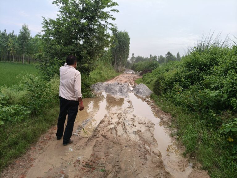 img202508141849066453526255736693470