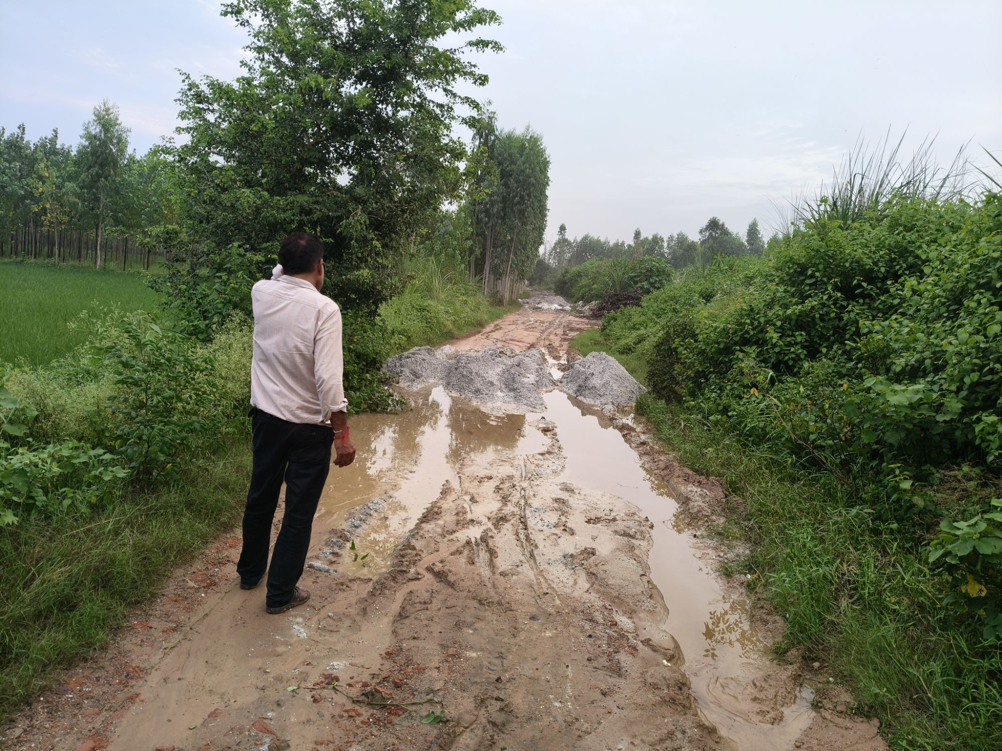 img202508141849066453526255736693470