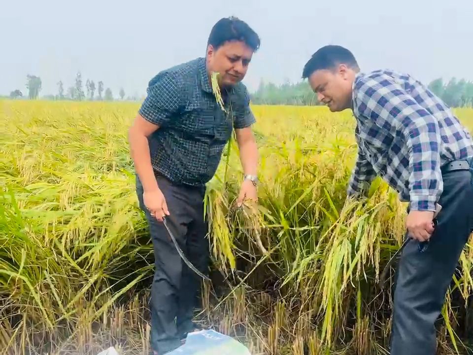 img_20251006_085327162762784604420476256