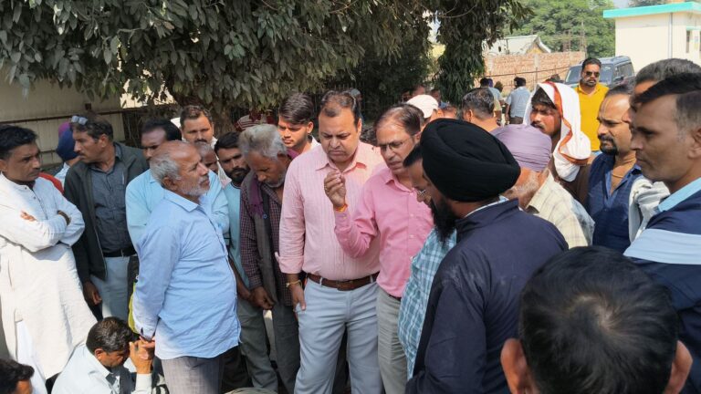 img202511061139537211227171899337060