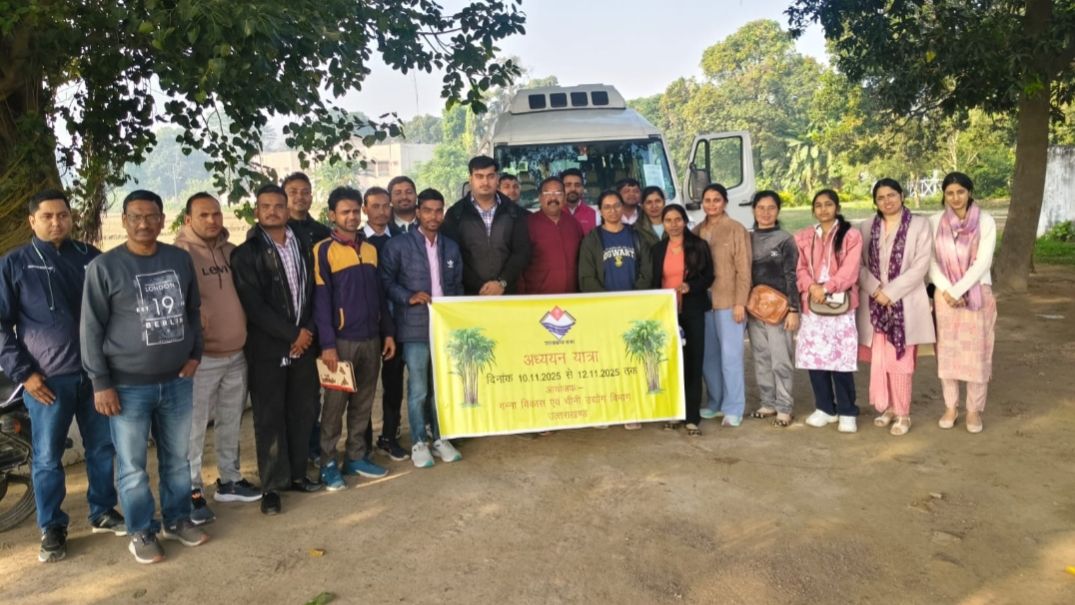 img_20251110_1626078318119106850773314