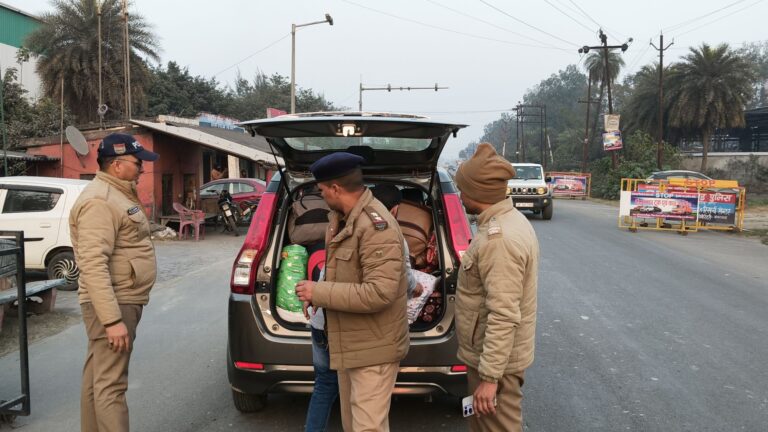 img202601251723367068349119064518952